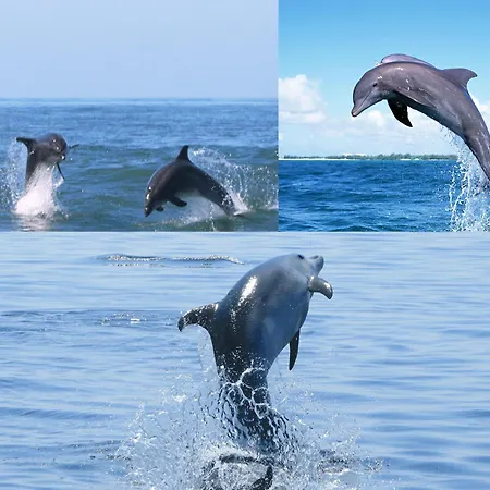 Casa vacanze Quinta D'avo