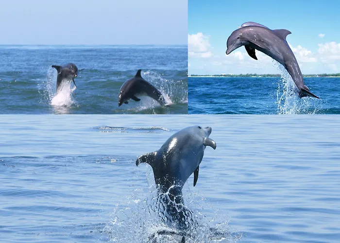 Casa de Férias Quinta D'avó